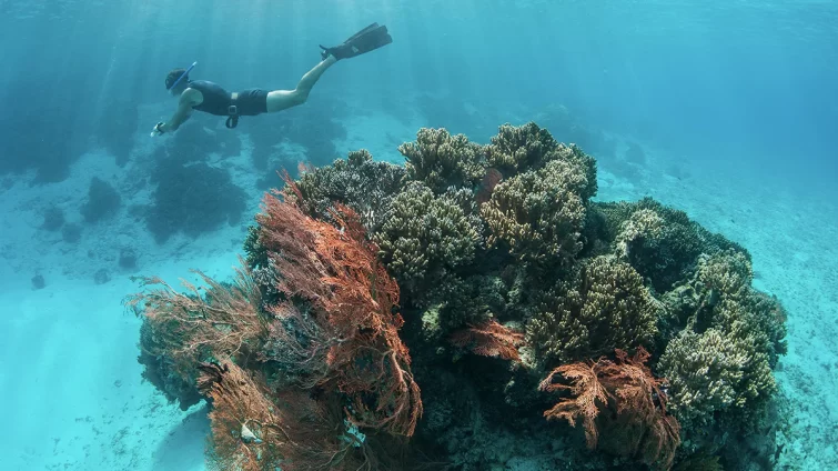 raja ampat