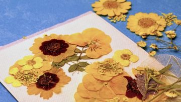 Pentingnya Cloud bagi Startup: Mengubah Ide Menjadi Bisnis Tanpa Modal Infrastruktur Besar